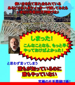 d5e1113871c901c3e2f656cd9aa5fa27[1]
